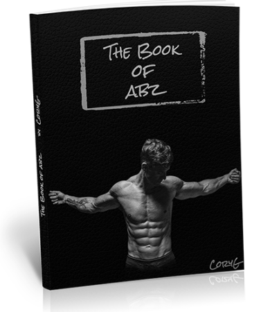 bookofabz-cover-transparent-web2